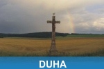 Duha