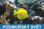 Podmořský svět