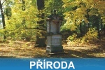 Příroda