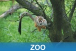 Zoo