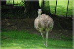 zoo 1