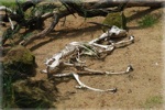 zoo 10