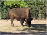 zoo 14
