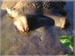 zoo 19
