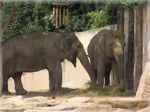 zoo 21