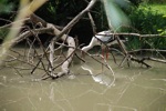 zoo 5